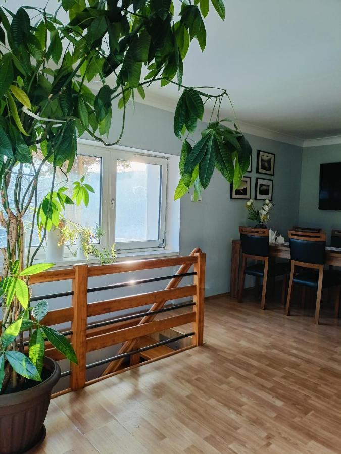Apartament nad Potokiem Piechowice  Zewnętrze zdjęcie